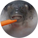 Iga Stadnicka profile picture